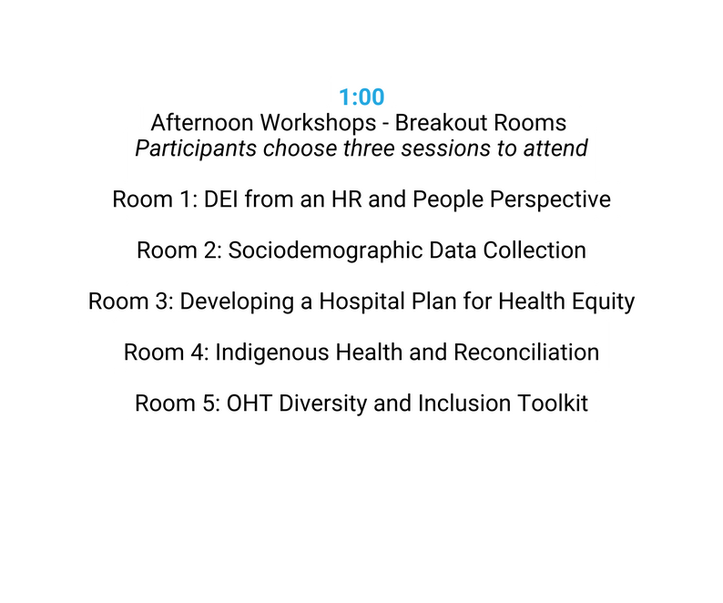 1 00 Afternoon Workshops Breakout Rooms Participants choose three sessions to attend Room 1 DEI from an HR and People Perspective Room 2 Sociodemographic Data Collection Room 3 Developing a Hospital Plan for Health Equity Room 4 Indigenous Health and Reconciliation Room 5 OHT Diversity and Inclusion Toolkit